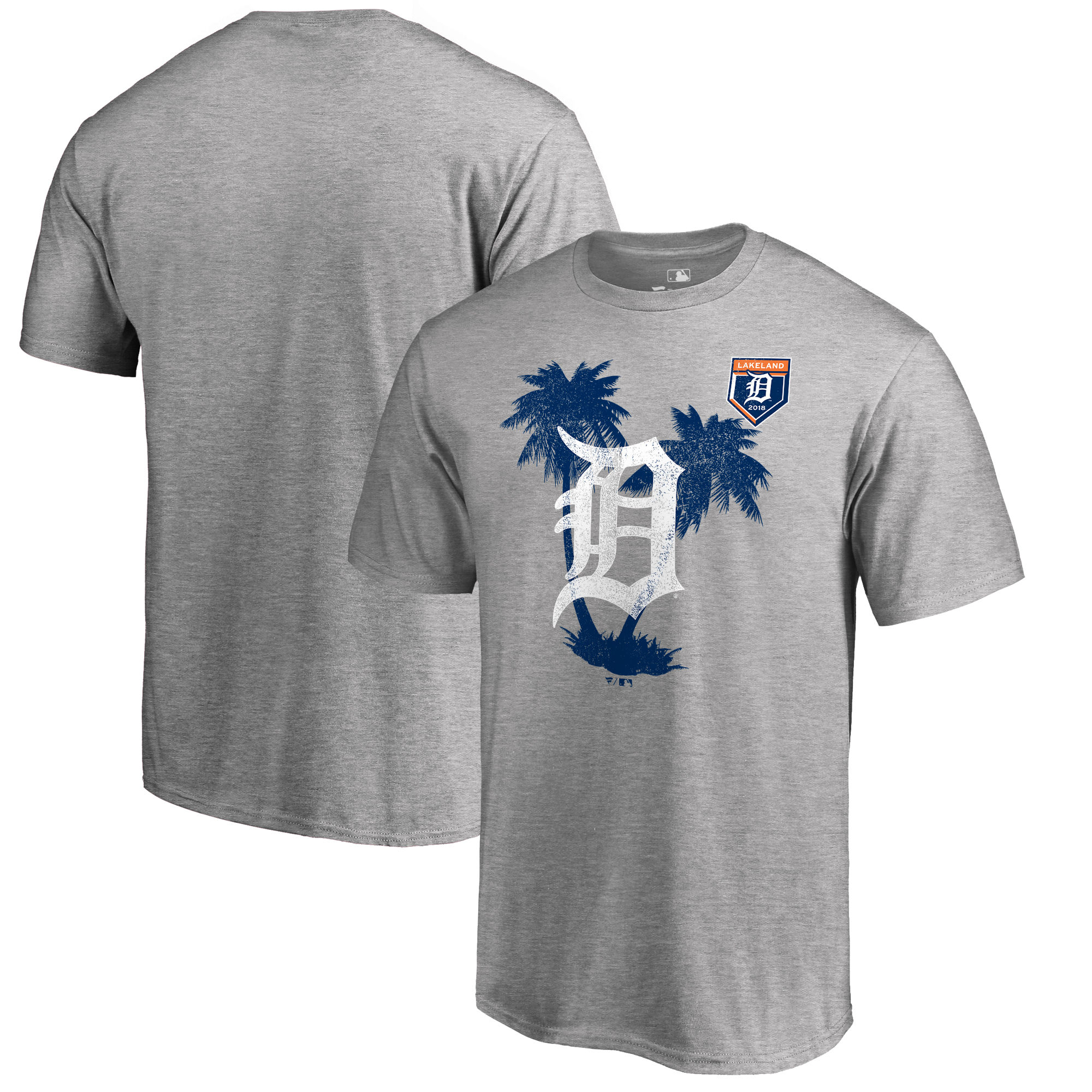 Men's Detroit Tigers Fanatics Branded 2018 Spring Training Vintage Big & Tall T-Shirt ?C Heather Gray - Click Image to Close